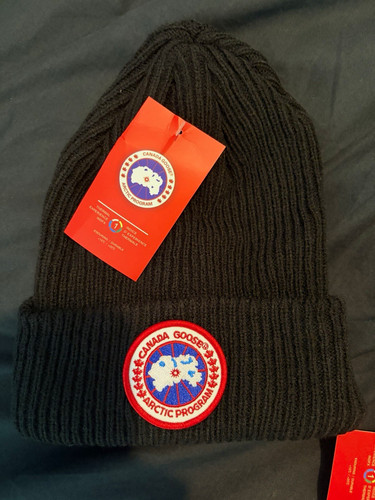 Canada goose arctic program - goose,