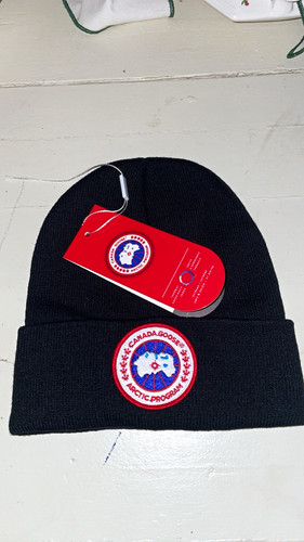 Canada goose arctic - goose, program