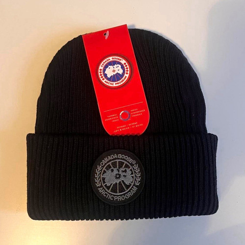 Canada goose arctic - goose, program
