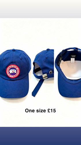 Canada goose arctic - goose, program