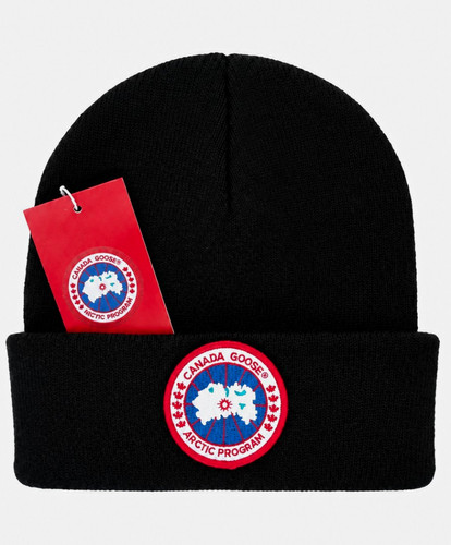 Canada goose arctic - arctic, program