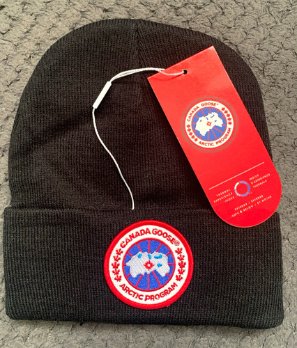 Canada goose arctic - arctic, program