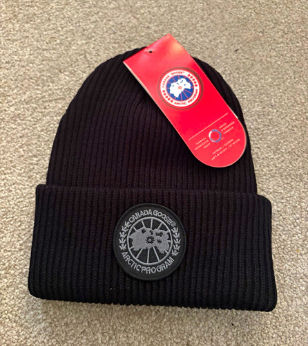 Canada goose arctic program - arctic,