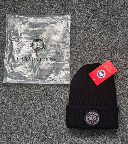 Canada goose arctic program - canada,