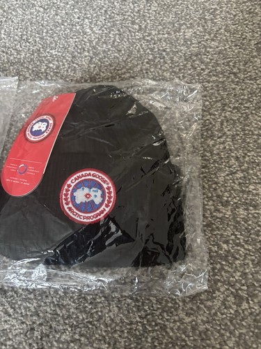 Canada goose arctic program - arctic,