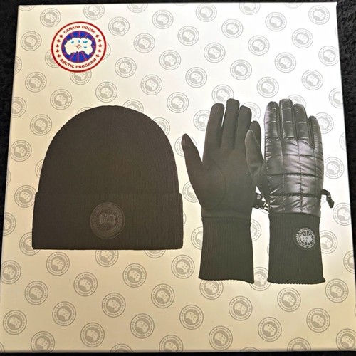 Canada goose arctic program - goose,