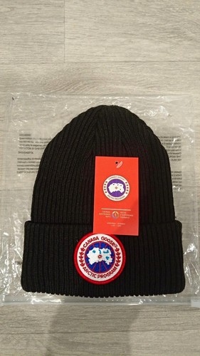 Canada goose arctic program - arctic,