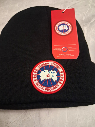 Canada goose arctic program - goose,