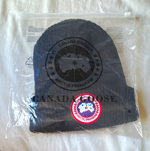 Canada goose arctic program - goose,