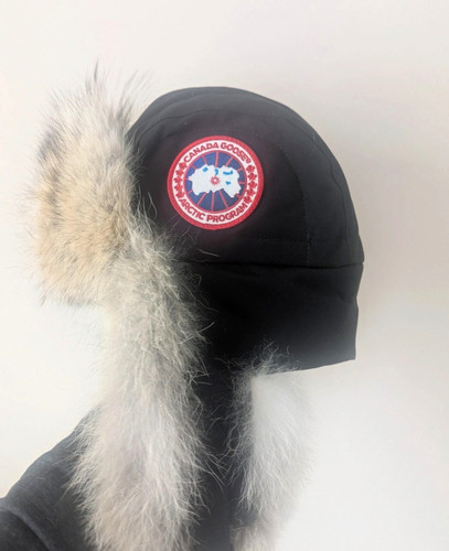 Canada goose arctic program - arctic,