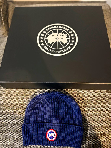 Canada goose arctic - canada,