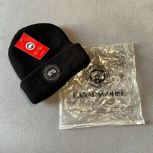 Canada goose arctic - canada, program