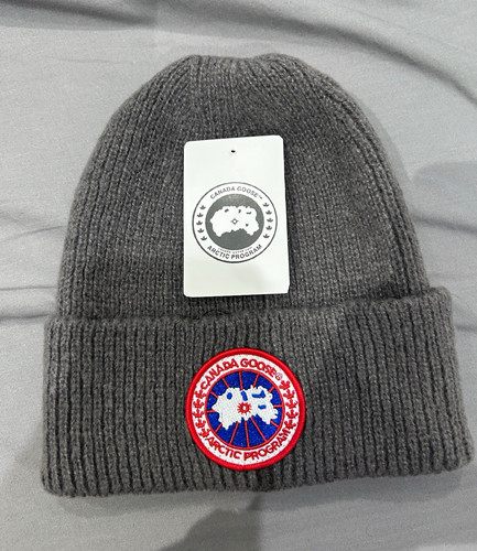 Canada goose arctic program - goose,
