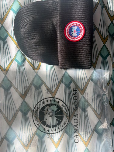 Canada goose arctic - arctic, toque