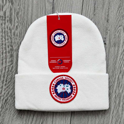 Canada goose arctic program - arctic,