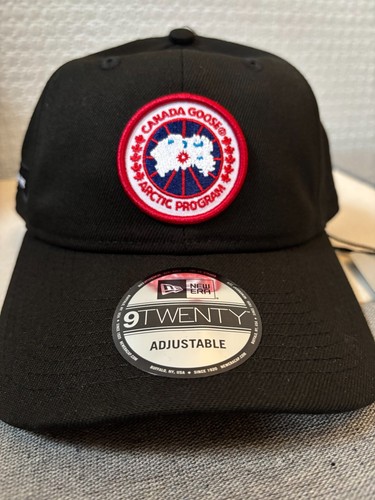 Canada goose arctic disc - goose,