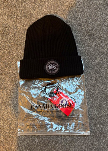 Canada goose arctic program - goose,