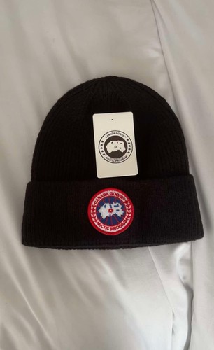 Canada goose arctic - goose,