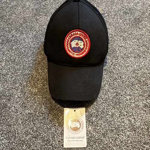 Canada goose arctic program - goose,