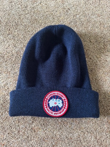 Canada goose arctic - goose, toque