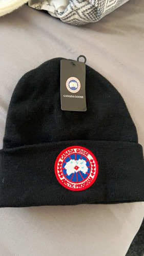 Canada goose arctic program - canada,