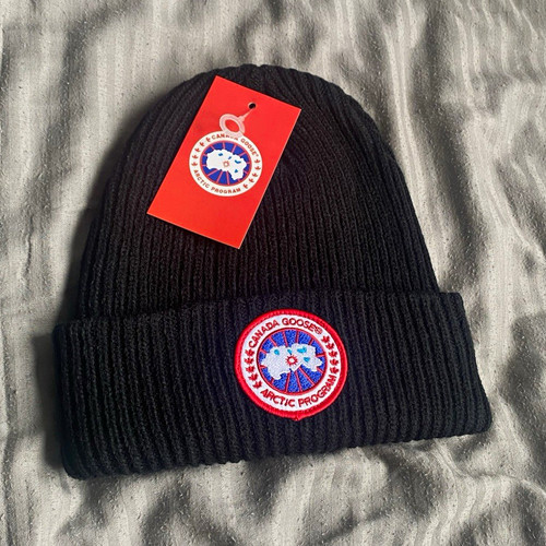 Canada goose arctic program - canada,