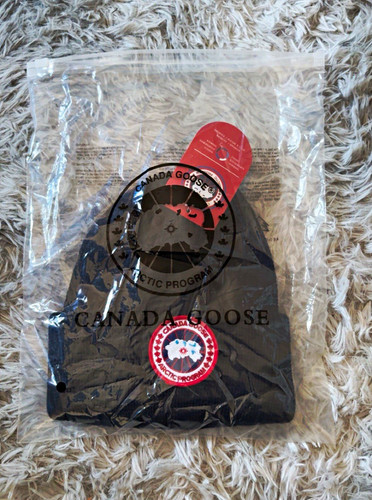 Canada goose black - canada,