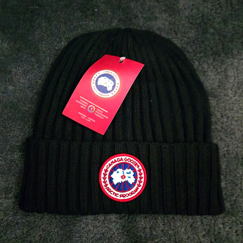 Canada goose arctic programme - canada,