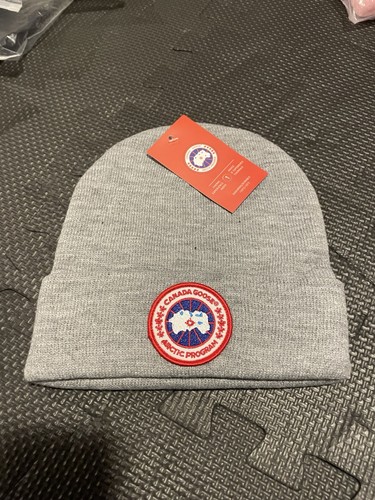 Canada goose arctic - canada, toque