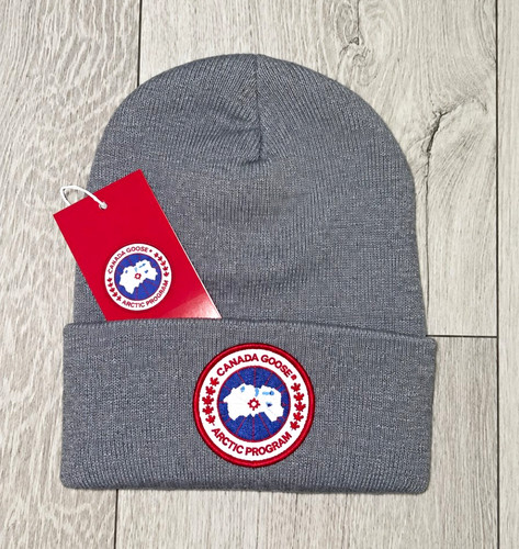 Canada goose arctic program - arctic,