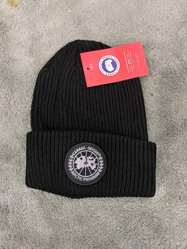 Canada goose arctic disc - canada,