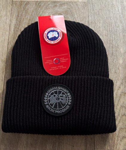 Canada goose arctic - goose,