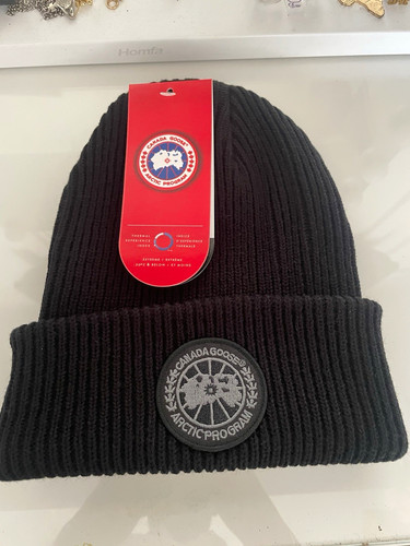 Canada goose arctic - goose,