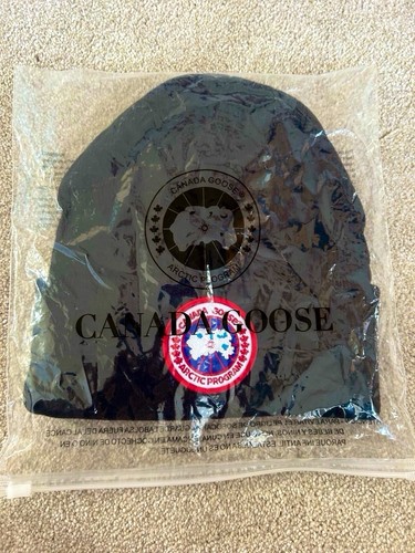 Canada goose arctic - canada,