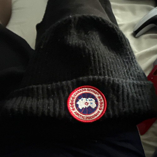 Canada goose arctic - arctic, program