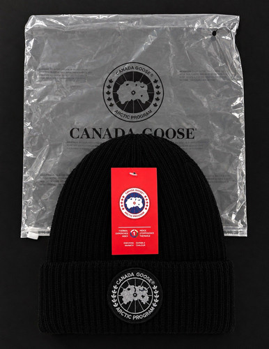 Canada goose black - canada,