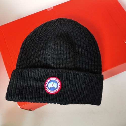 Canada goose arctic program - canada,