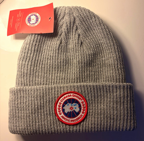 Canada goose arctic - canada,