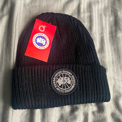 Canada goose arctic program - goose,