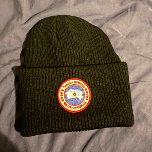 Canada goose arctic - goose,