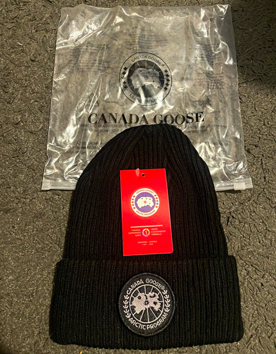 Canada goose arctic program - canada,