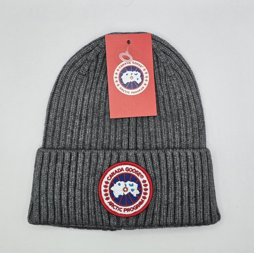 Canada goose arctic - goose,