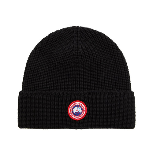 Canada goose arctic - goose, disc