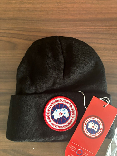 Canada goose arctic program - canada,