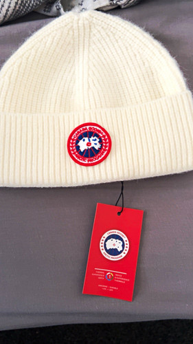 Canada goose arctic program - arctic,