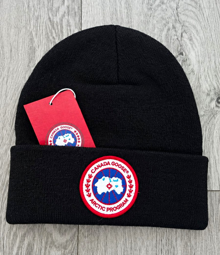 Canada goose arctic - goose,