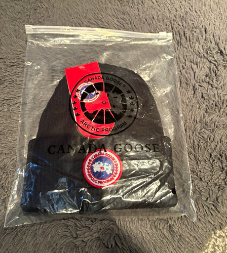 Canada goose arctic - canada, program