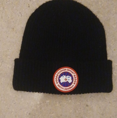 Canada goose arctic - canada,