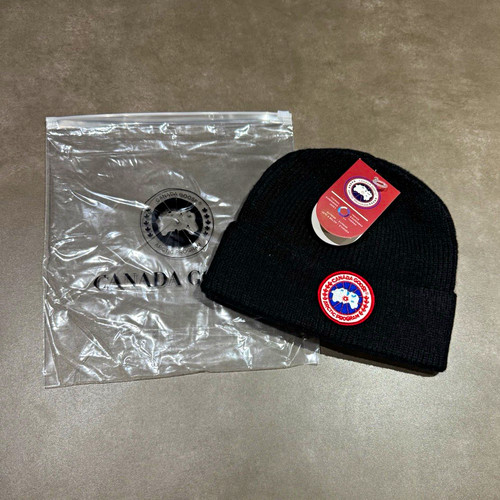 Canada goose men arctic - men's,