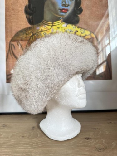 White arctic fox - arctic, genuine